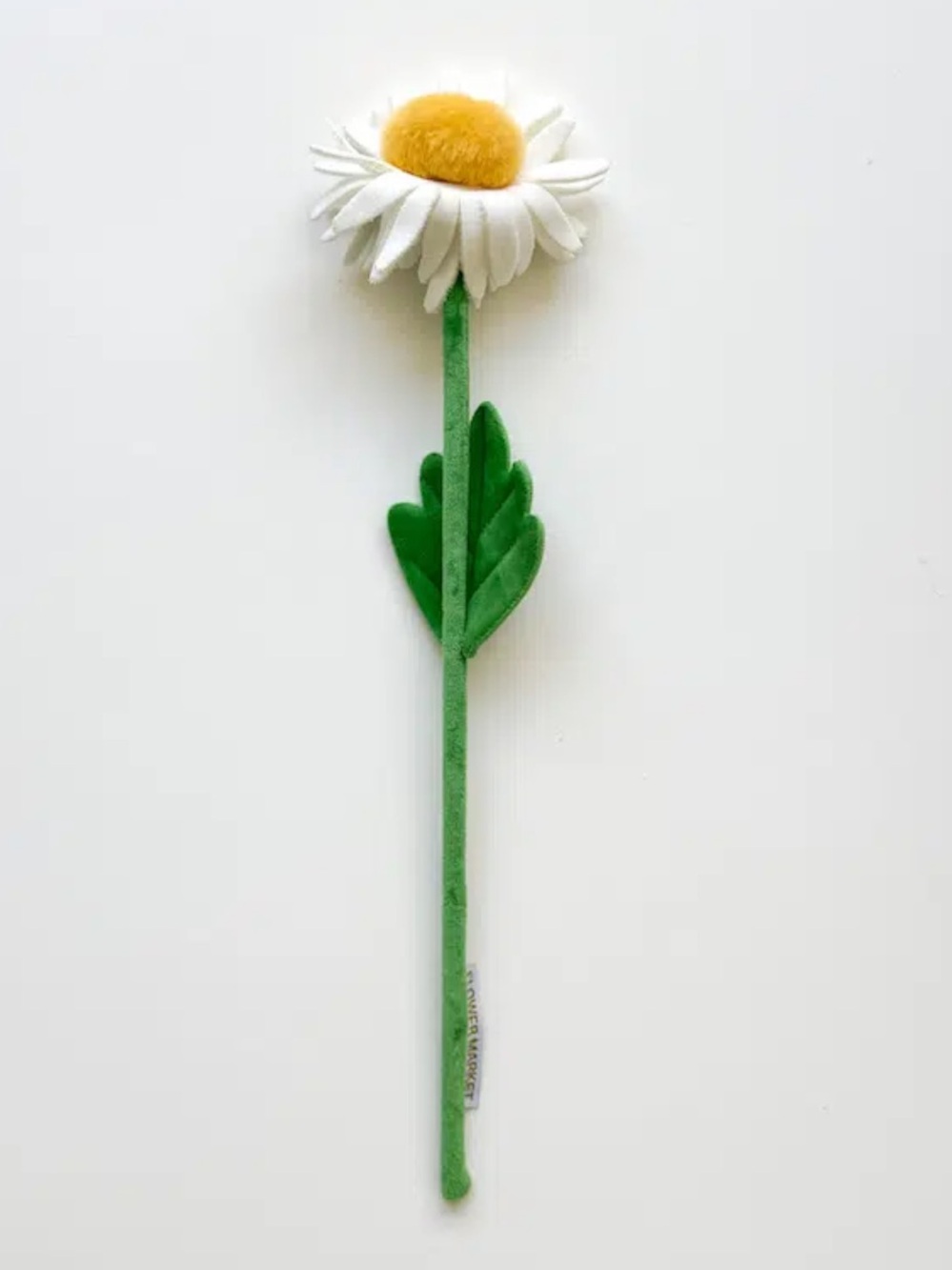 CJ Hendry Flower Market Daisy